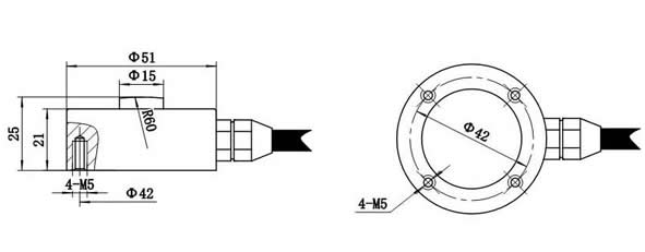 LZ-WX2微型测力传感器(图1)